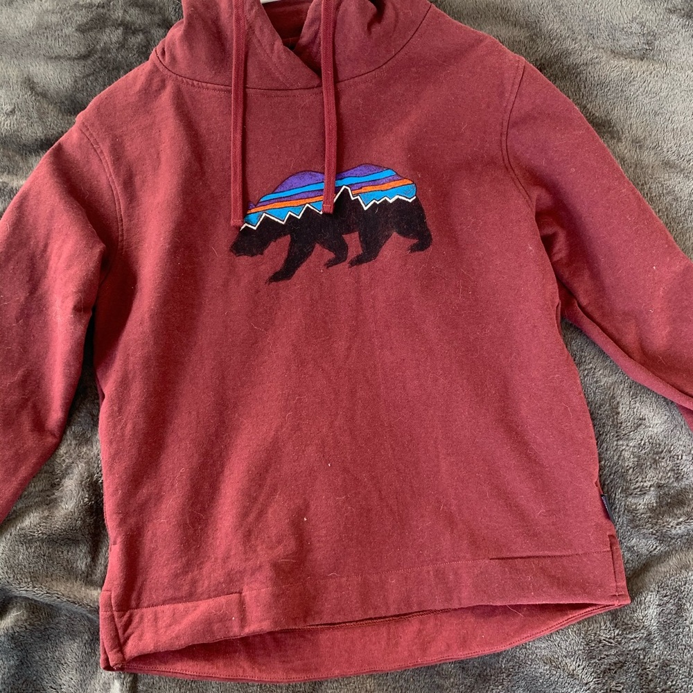 Patagonia hoodie - Picture 2 of 2